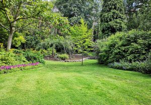 Optimiser l'expérience du jardin à Conde-sur-Sarthe