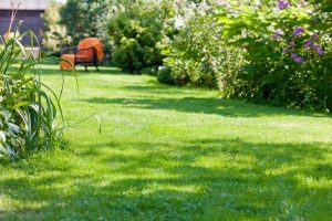 travaux jardin et paysage Conde-sur-Sarthe